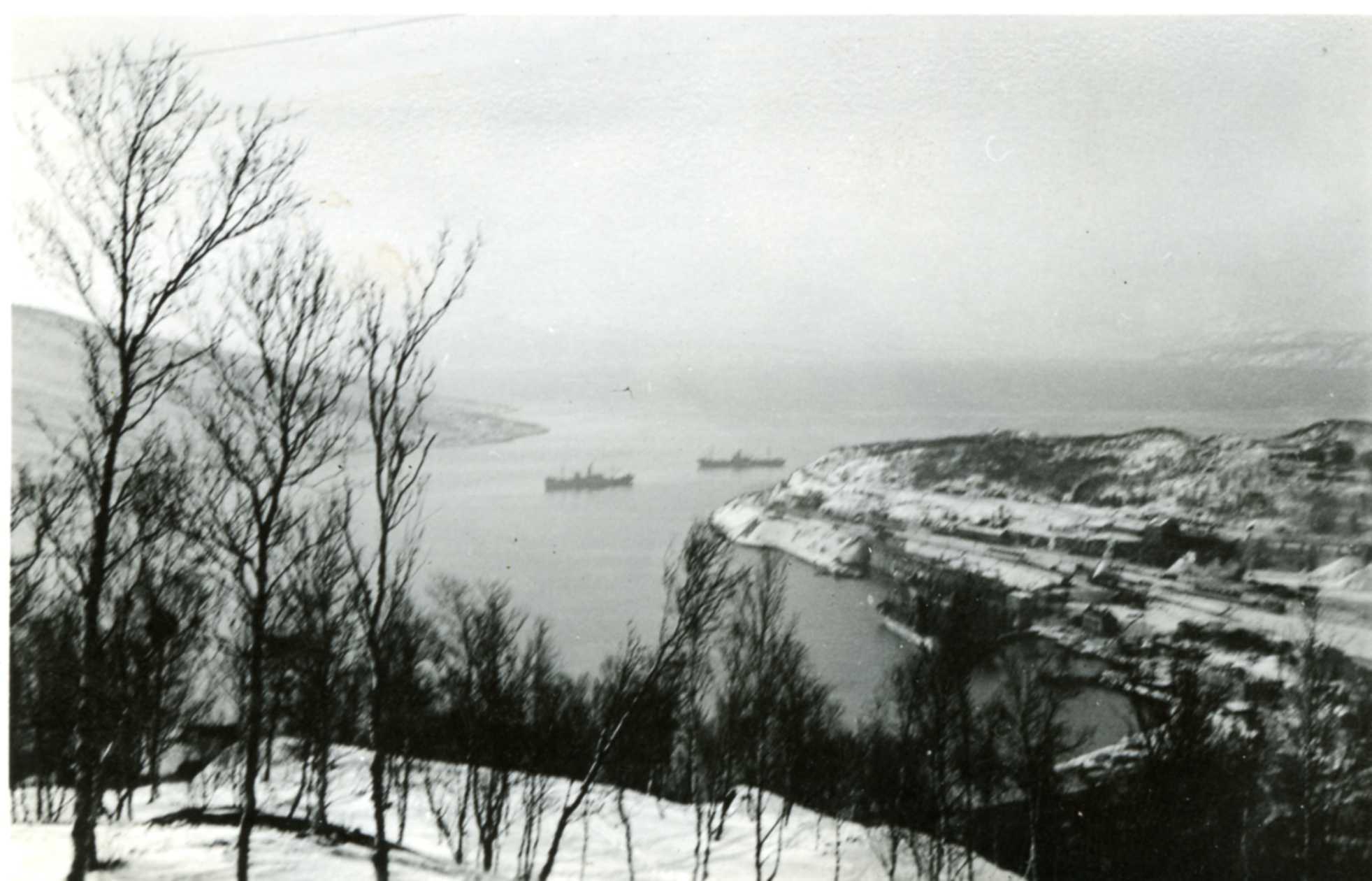 Narvik 3